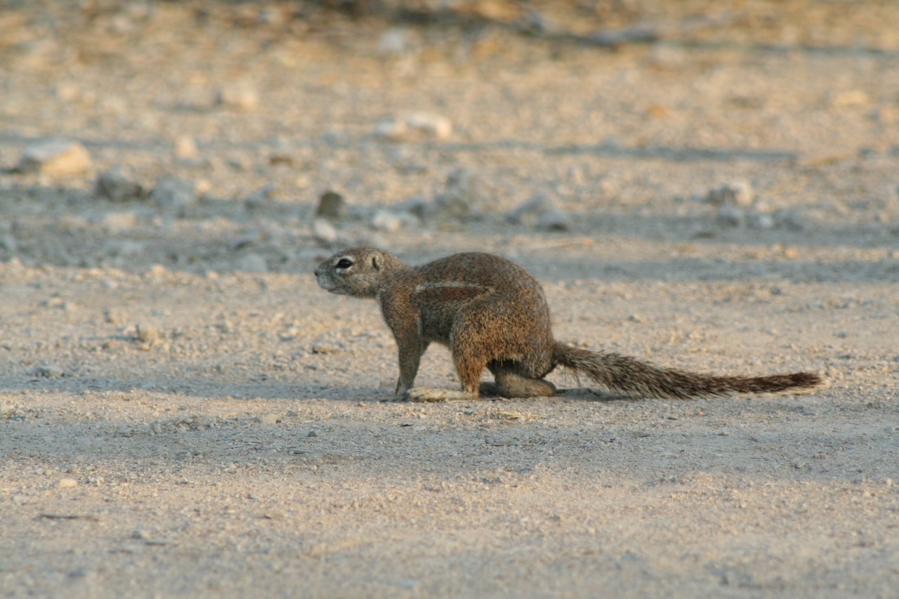 That cant be comfortable.